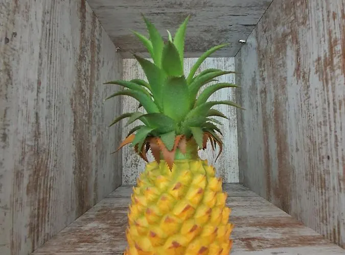 Dreamkeys Barcelona City Aparthotel 3*